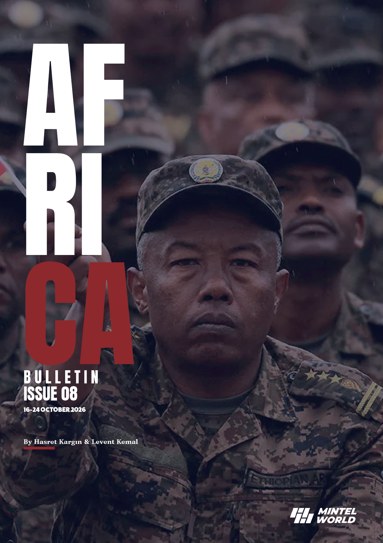 Africa Bulletin Issue 08